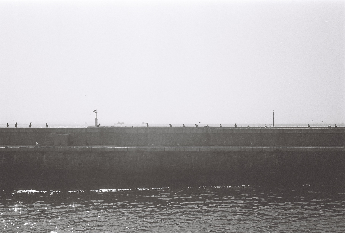 FERHAT TOPAL IS ON THE RUN