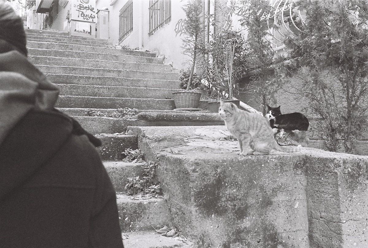 FERHAT TOPAL IS ON THE RUN