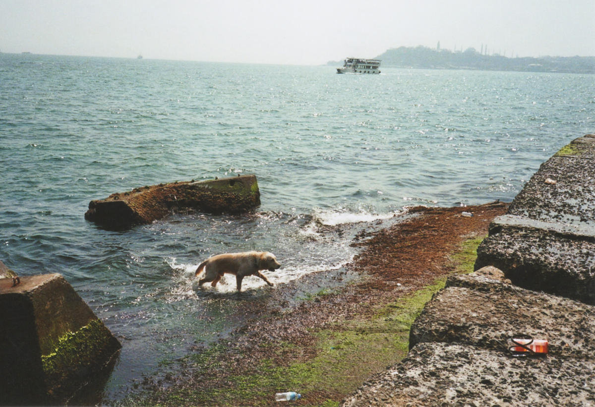 FERHAT TOPAL IS ON THE RUN