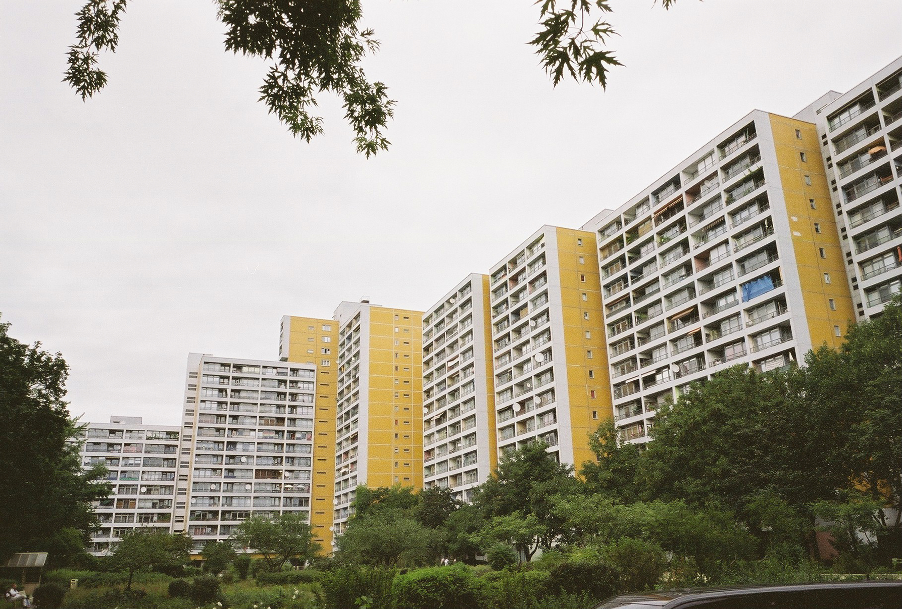 FERHAT TOPAL IS ON THE RUN