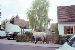 FERHAT TOPAL IS ON THE RUN