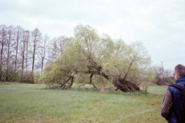 FERHAT TOPAL IS ON THE RUN