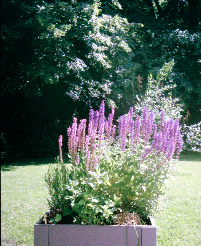 FERHAT TOPAL IS ON THE RUN