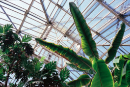 FERHAT TOPAL IS ON THE RUN