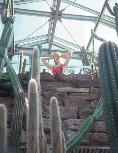 FERHAT TOPAL IS ON THE RUN