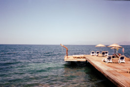 FERHAT TOPAL IS ON THE RUN