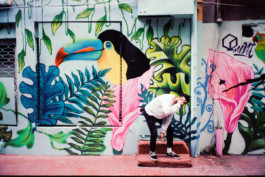 FERHAT TOPAL IS ON THE RUN