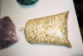 FERHAT TOPAL IS ON THE RUN