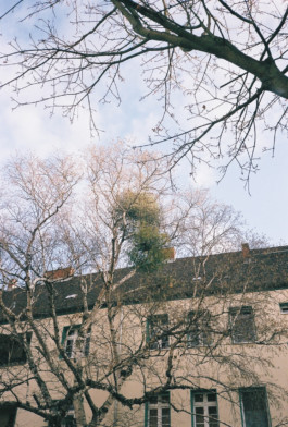 FERHAT TOPAL IS ON THE RUN