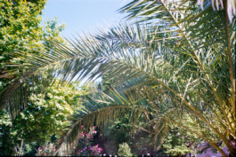 FERHAT TOPAL IS ON THE RUN