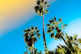 FERHAT TOPAL IS ON THE RUN