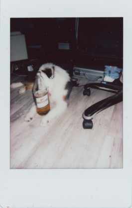 FERHAT TOPAL IS ON THE RUN