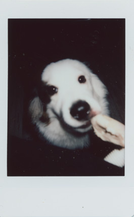 FERHAT TOPAL IS ON THE RUN