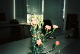 FERHAT TOPAL IS ON THE RUN