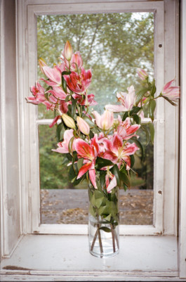 FERHAT TOPAL IS ON THE RUN