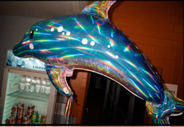 FERHAT TOPAL IS ON THE RUN