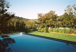 FERHAT TOPAL IS ON THE RUN