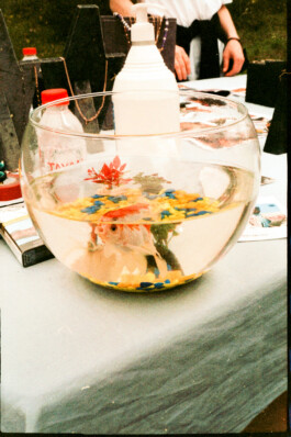 FERHAT TOPAL IS ON THE RUN