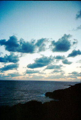 FERHAT TOPAL IS ON THE RUN