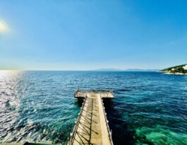 FERHAT TOPAL IS ON THE RUN