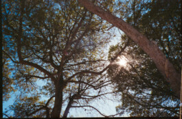 FERHAT TOPAL IS ON THE RUN