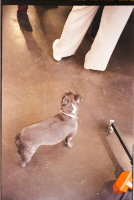 FERHAT TOPAL IS ON THE RUN