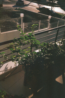 FERHAT TOPAL IS ON THE RUN