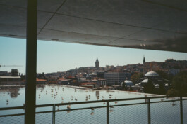 FERHAT TOPAL IS ON THE RUN