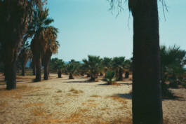 FERHAT TOPAL IS ON THE RUN