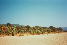 FERHAT TOPAL IS ON THE RUN