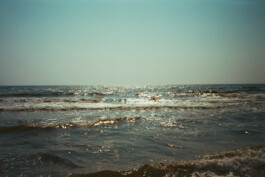 FERHAT TOPAL IS ON THE RUN